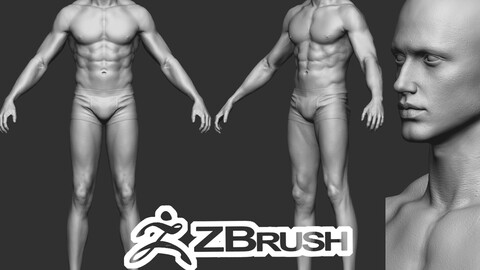 Caucasian Realistic character man highpoly mesh anatomy  zbrush male head torso hand foot leg