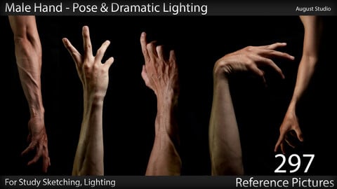 Male Hand - Pose & Lighting - Vol1 - Reference Pictures