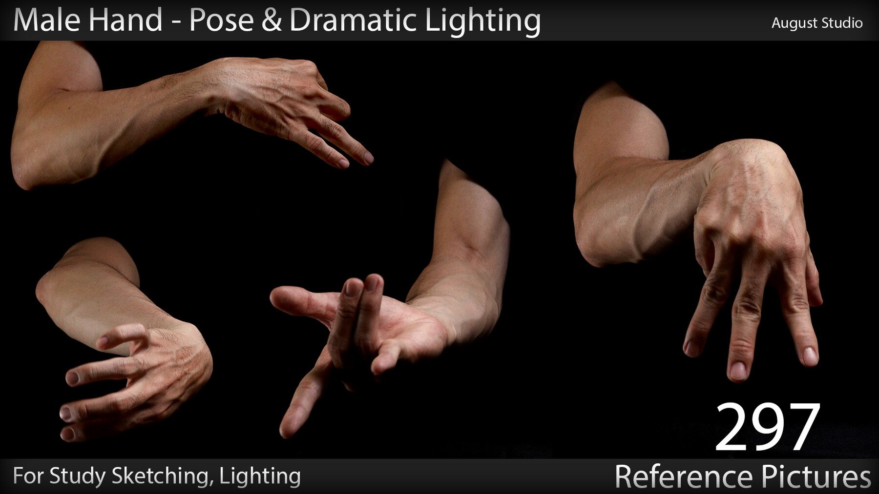 Male Hand - Pose & Lighting - Vol - FlippedNormals
