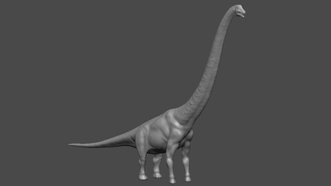 Dinosaur Basemesh 12