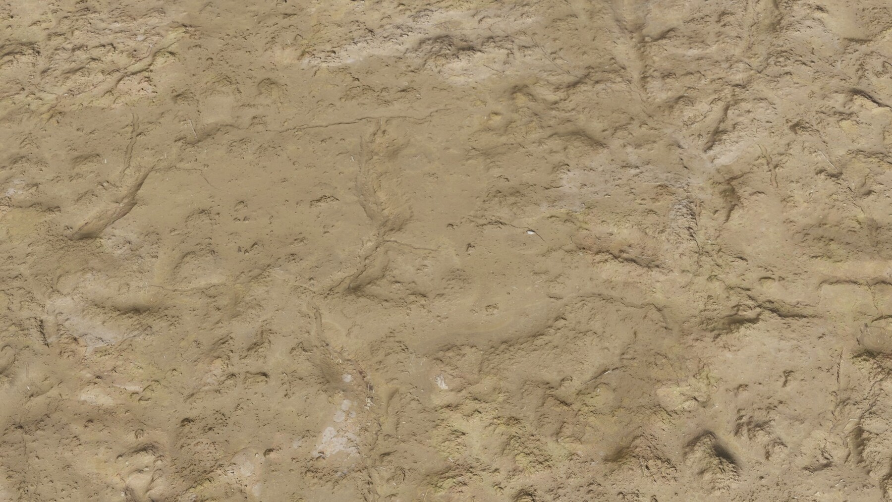 ArtStation - Wet Sand PBR Texture | Game Assets