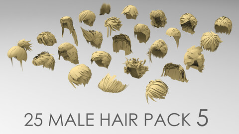 25 male hair pack 5