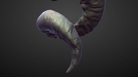 HORN5 high poly sculpt