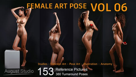 Female Art Pose - Vol 06 - Reference Pictures