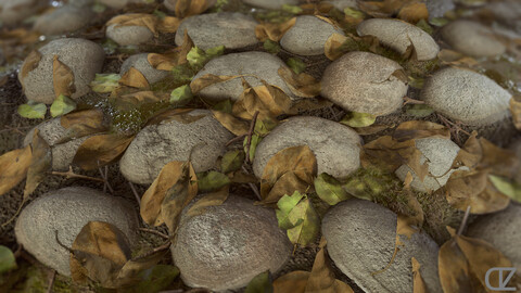 PBR - RIVER BED - 4K MATERIAL