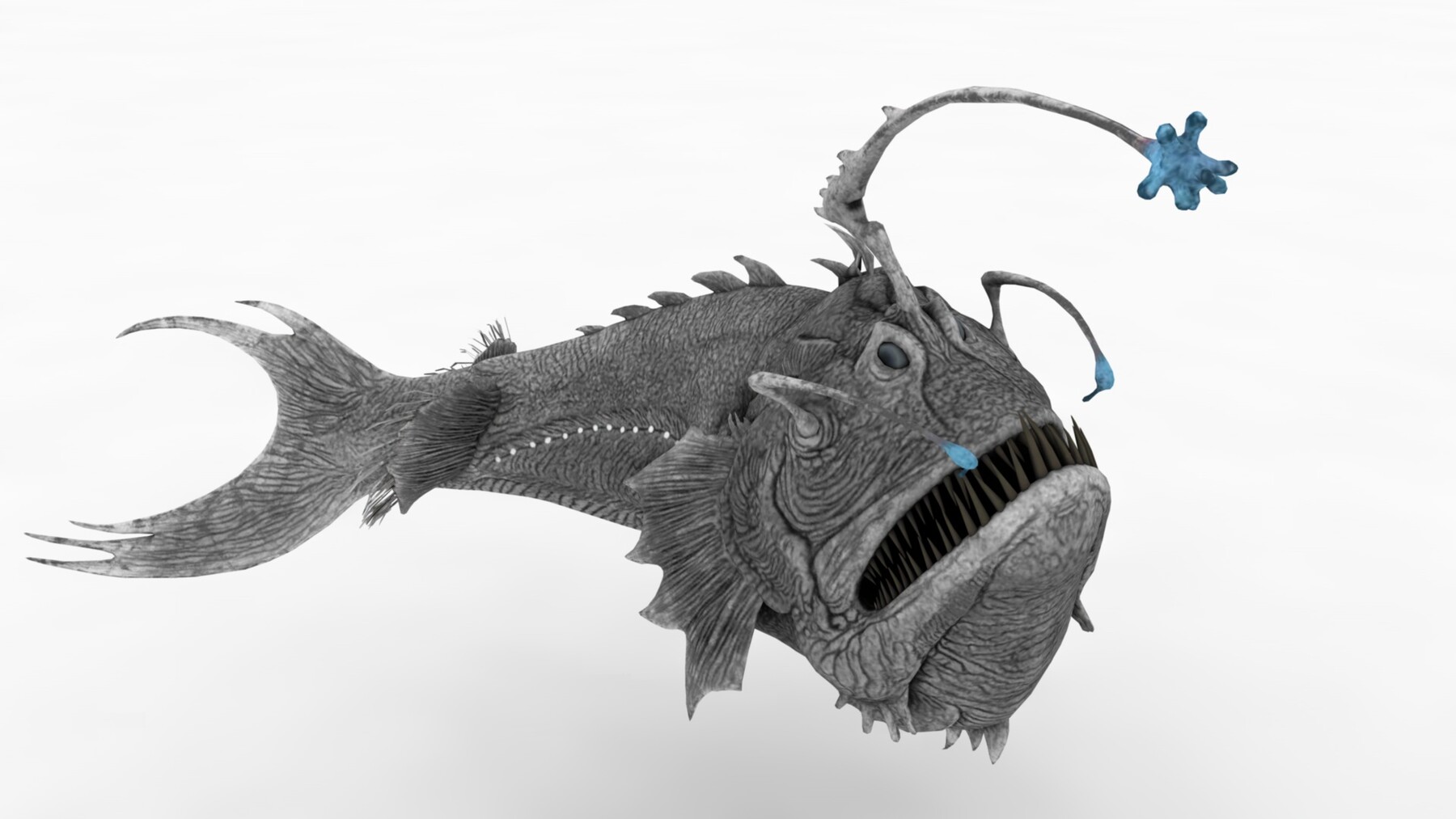 artstation-angelfish-game-assets