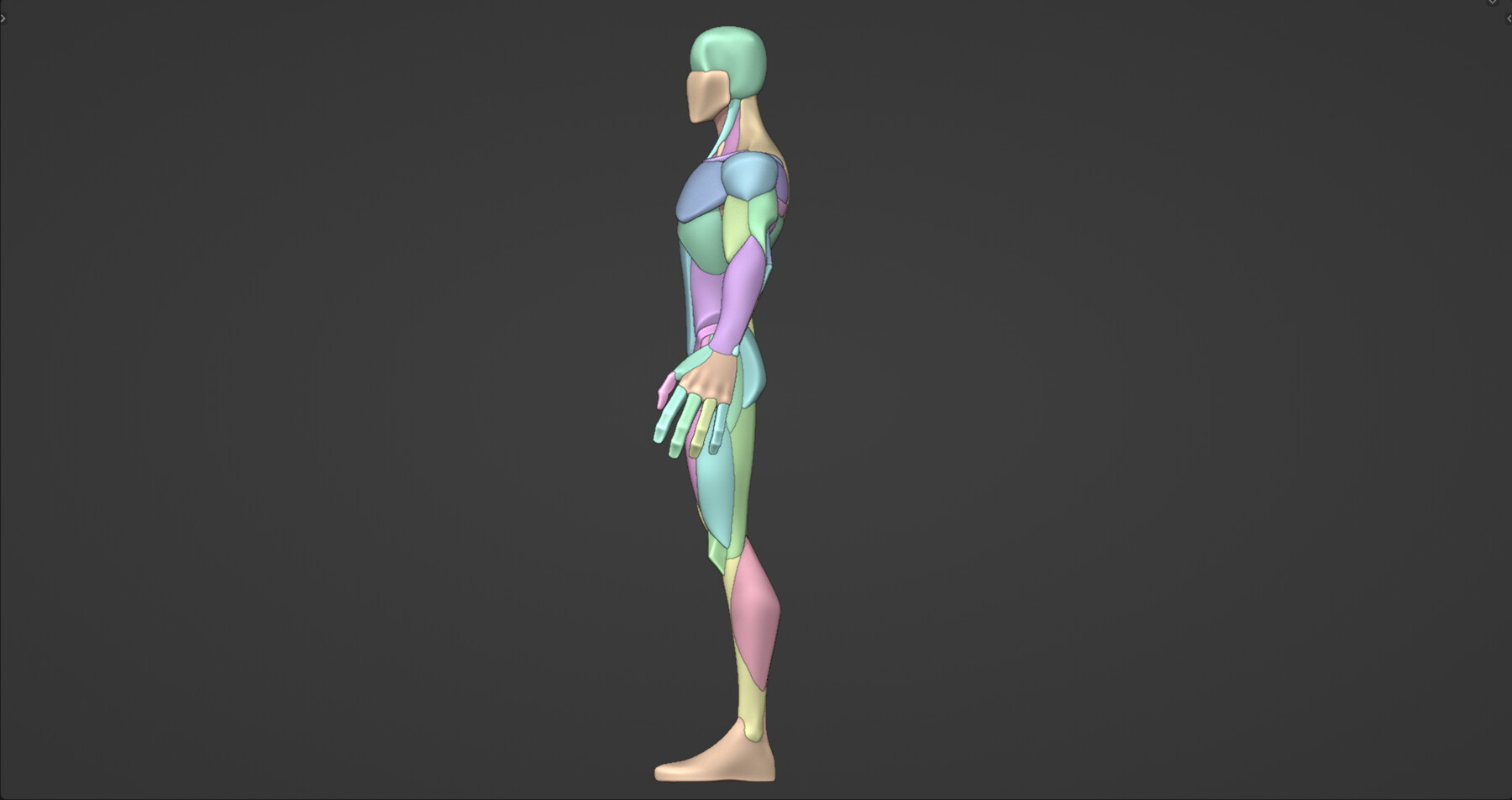 ArtStation - Stylized Male Anatomy Blockout V2 | Resources