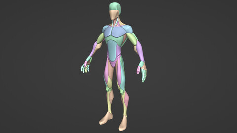 Stylized Male Anatomy Blockout V2