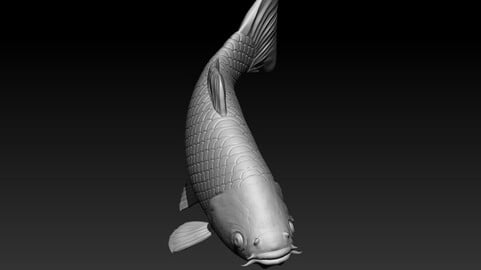 Koi Fish - STL file - 3D print model