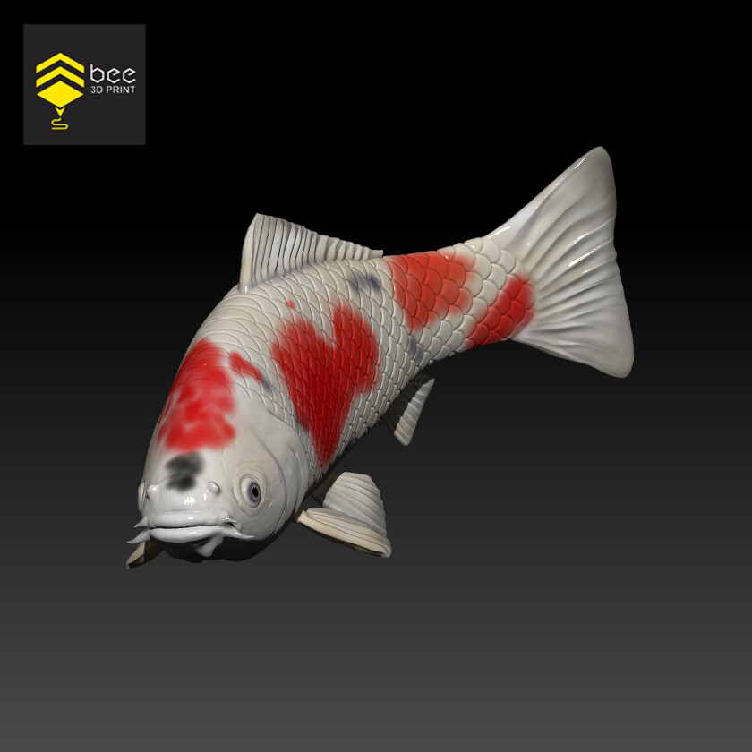 ArtStation Koi Fish STL file 3D print model Resources