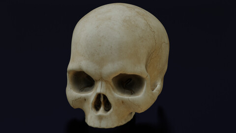 HUMAN HEAD SKULL LOW POLY GAME READY