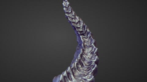 HORN8 high poly sculpt