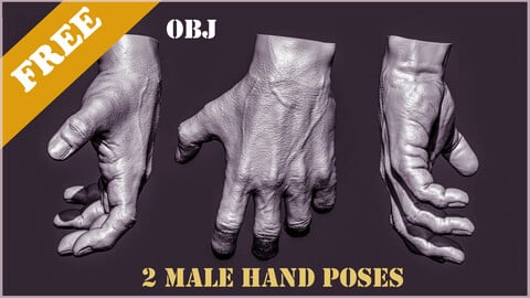 2 Male hand poses free 3D model OBJ