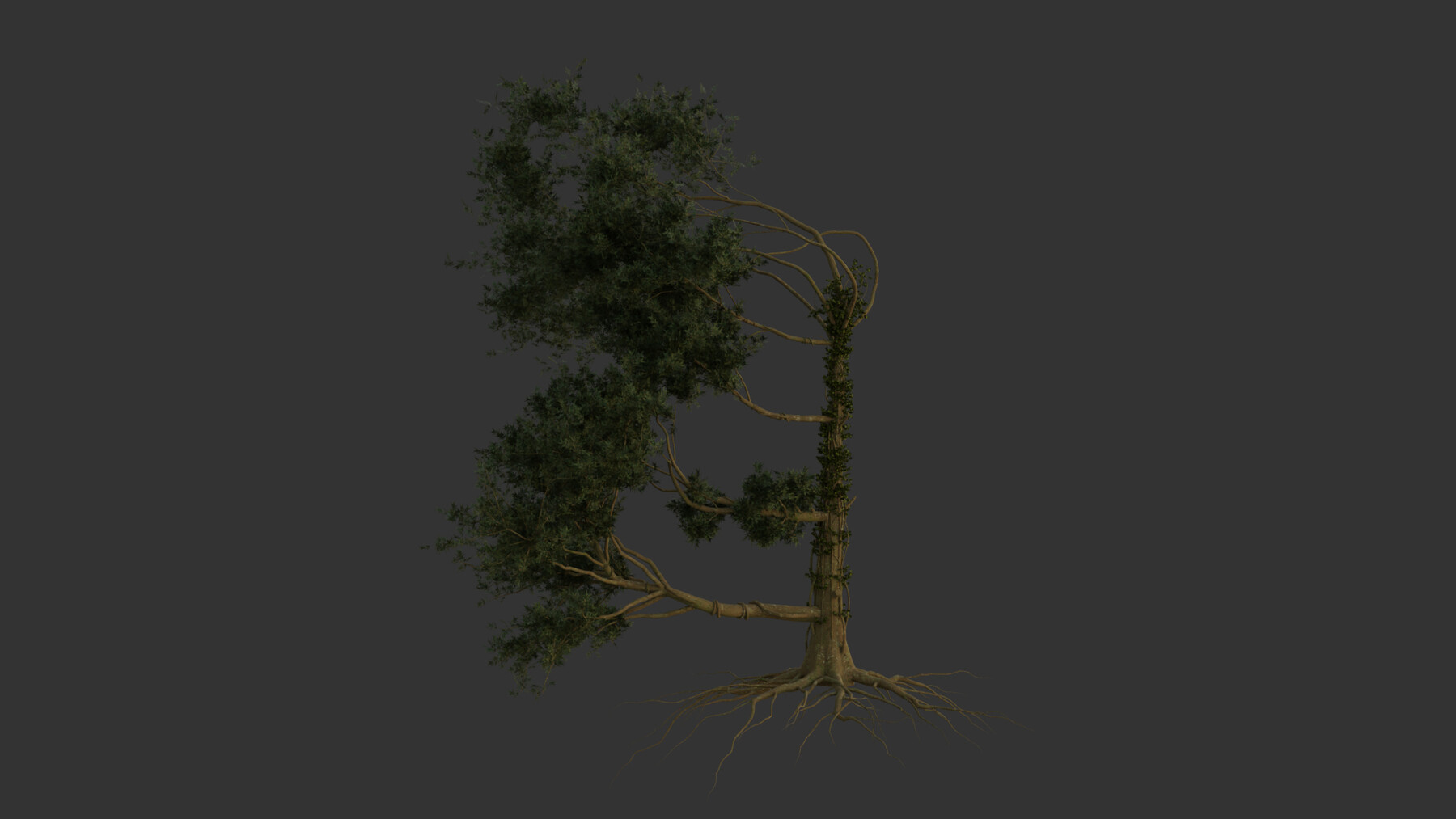 ArtStation 3D Rimu Tree pack Resources