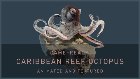 Animated Octopus- Caribbean Reef