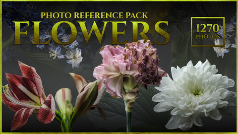 A Flowers-Photo Reference Pack For Artists 1270 JPEGs