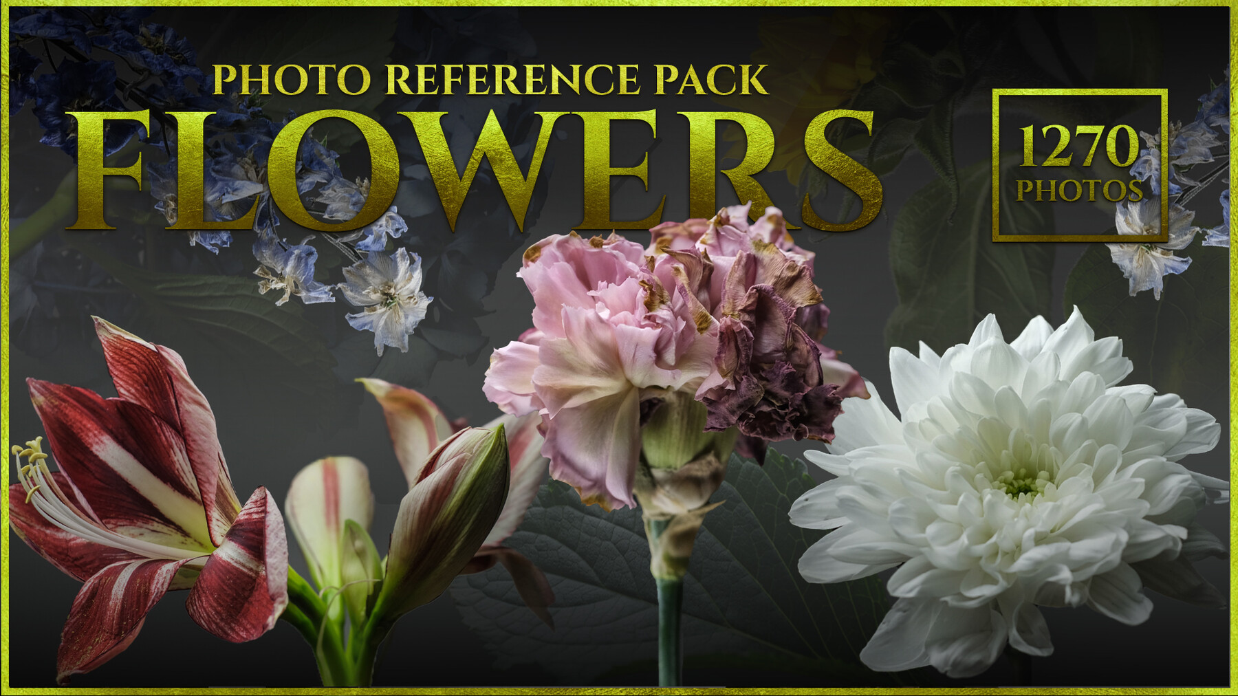 Satine Zillah A FlowersPhoto Reference Pack For Artists 1270 JPEGs