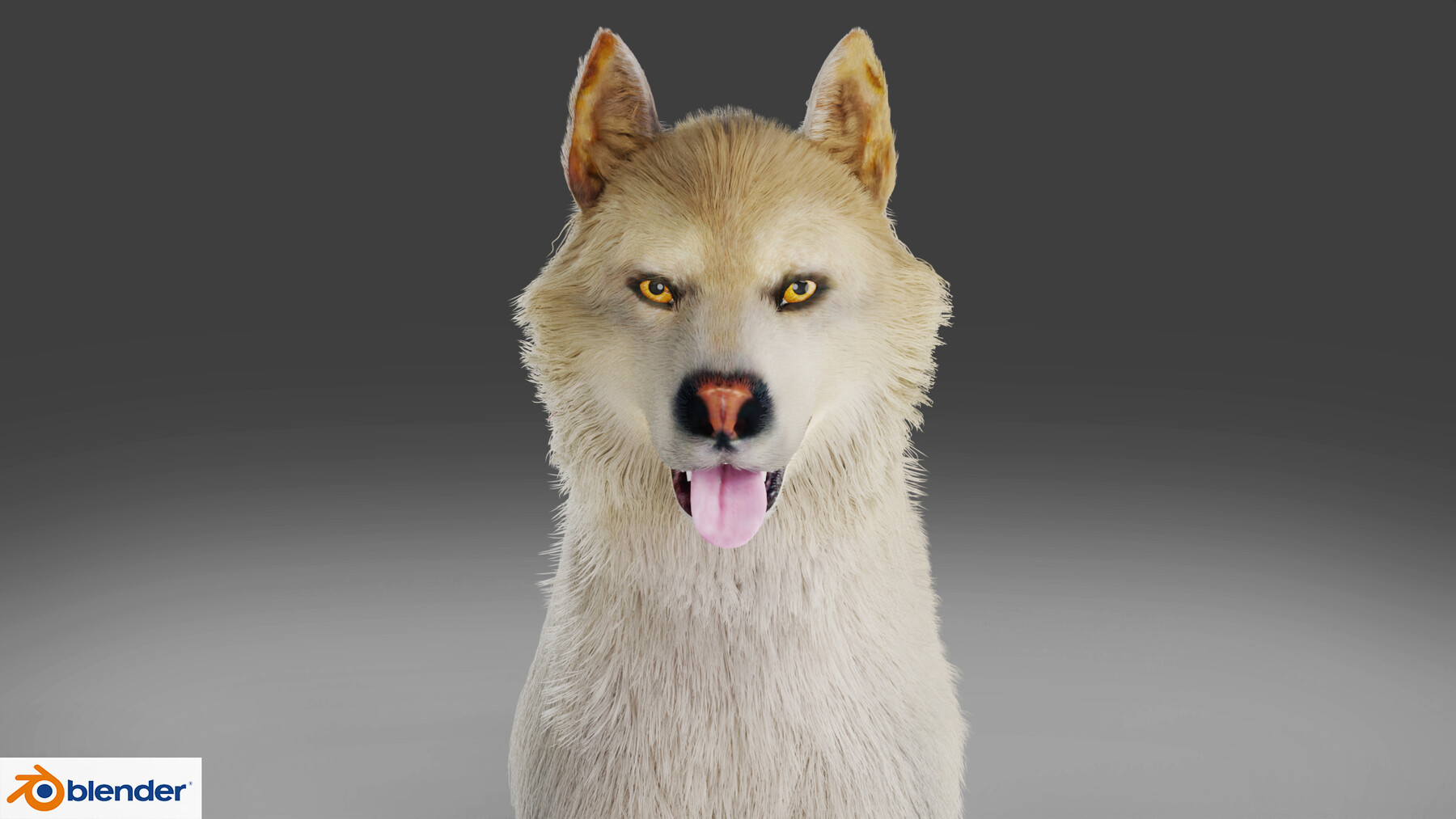 ArtStation Fur Wolf Rigged and Animation V02 in Blender Game Assets