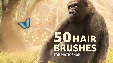 50 hair brushes for Photoshop
