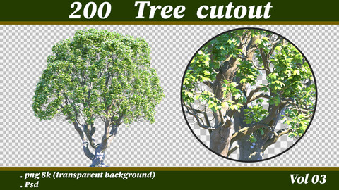 Tree cutout png 4k & psd (Alder, Maple, Weeping willow, Fir, Plane, Beech, Hazel, Pine, Elm, Yew, Oak, Hawthorn, Palm, Sycamore, Cedar, Holly, Poplar, Ash, Birch, ...) vol03