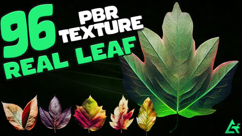 96 Real Leaf Pack - PBR Texture - 4k - with Alpha Map