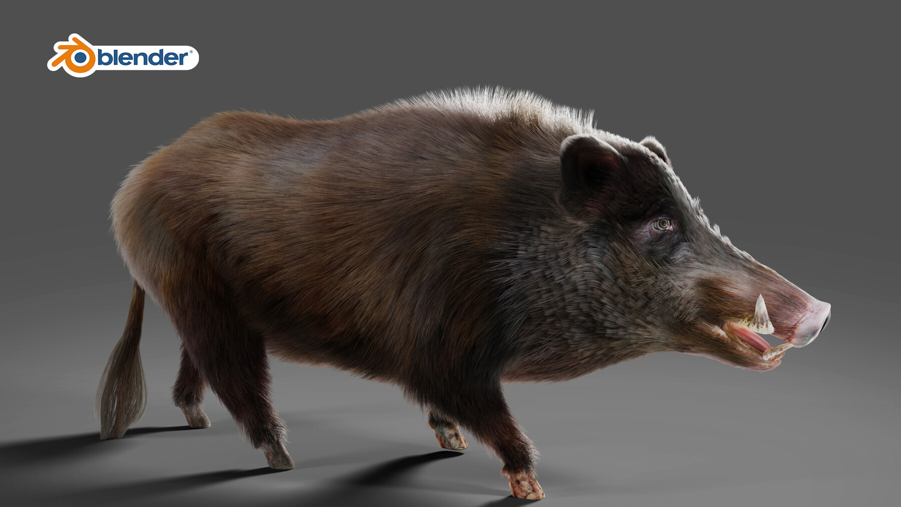 ArtStation - Fur Wild Boar V06 Rigged and Animation | Game