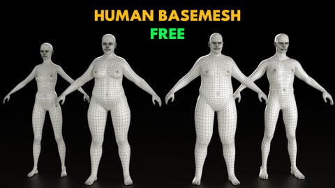 Human Basemesh 3D MODEL