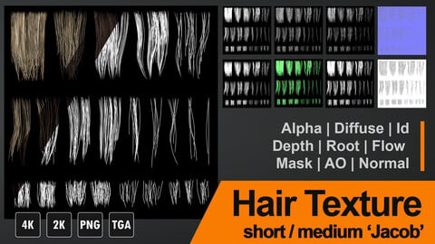 Hair Textures  for Hair Cards "Jacob" 4K (TGA, PNG)