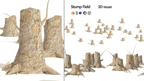 Stump field