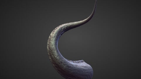 HORN26 high poly sculpt