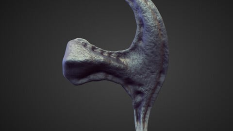 HORN29 high poly sculpt