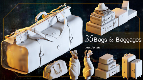 35 Bag & Baggages_ 3d model