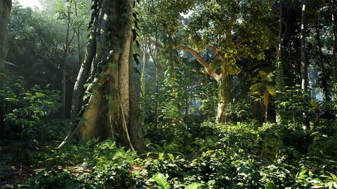 Rainforest Jungle Pack Vol.1 For Unreal Engine