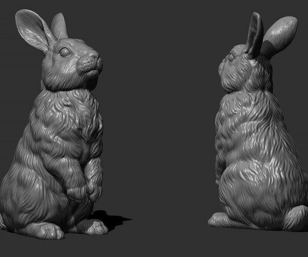 ArtStation - Rabbit bunny | Resources
