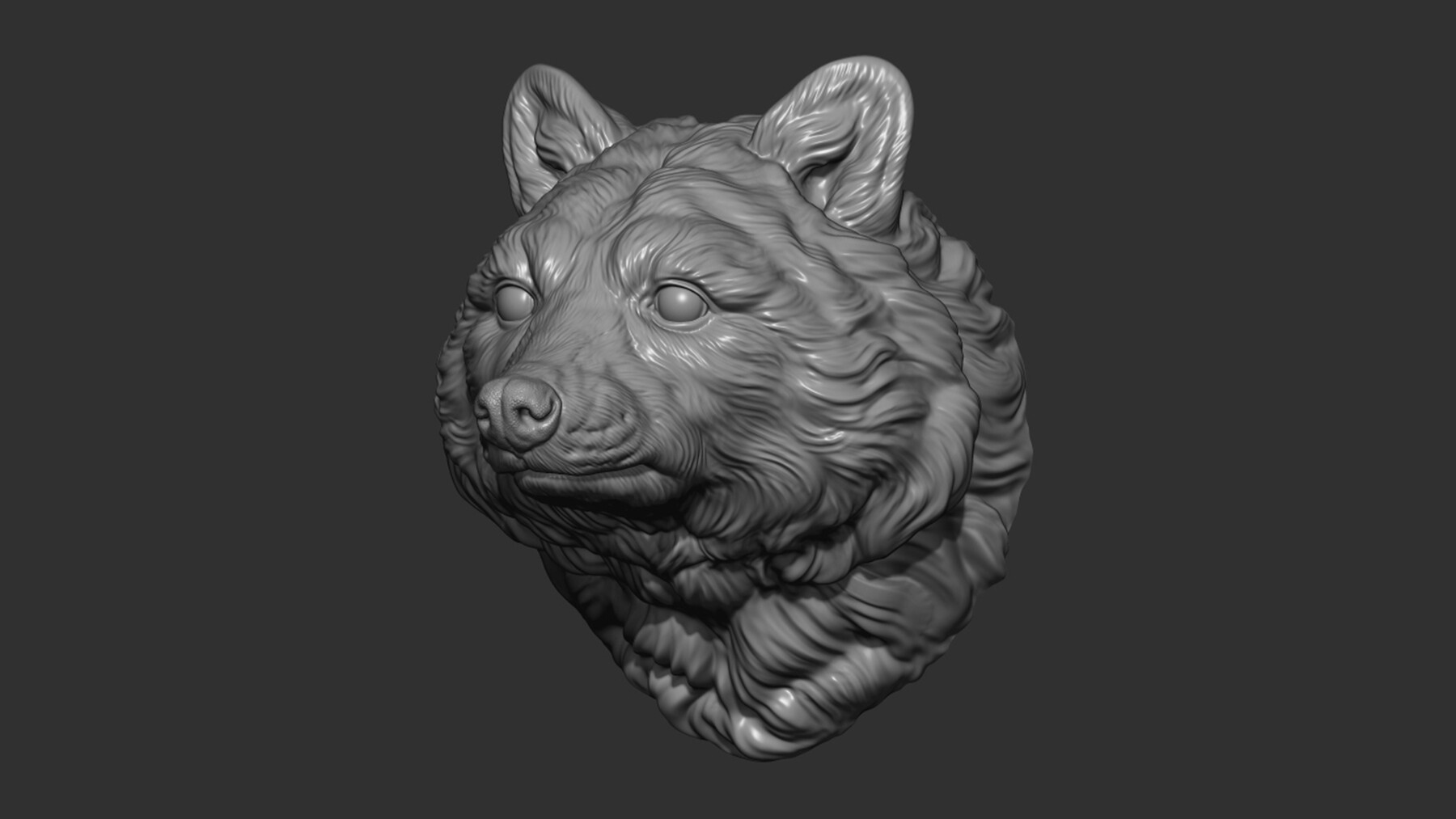 ArtStation - Raccoon head | Resources