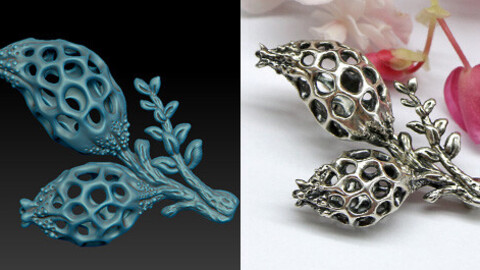 Organic brooch printable jewelry 3d model. Dry pods brooch for printing