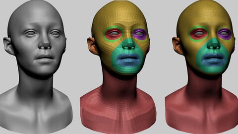 Female Head Basemesh C