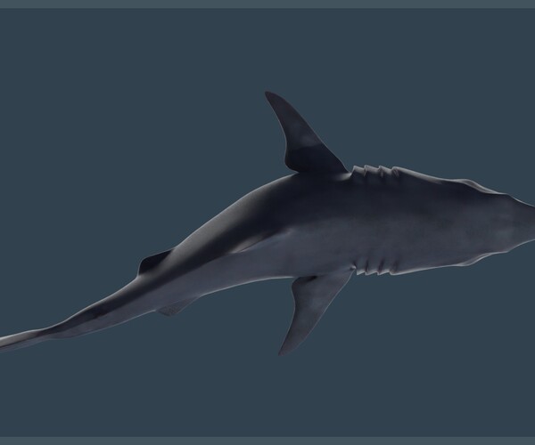ArtStation Great White Shark Game Assets