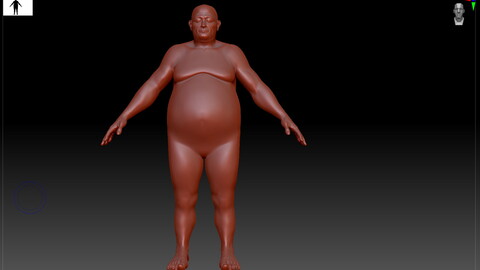 fat   man  model