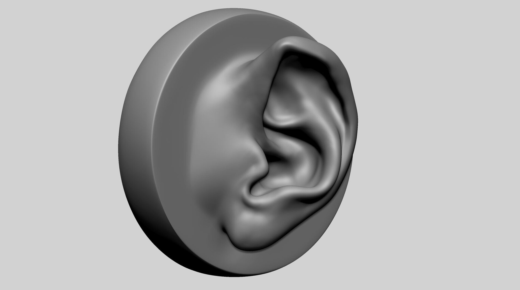 ArtStation - Ear Model with Different Types | Resources