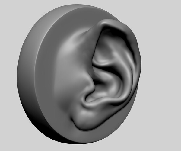 ArtStation - Ear Model with Different Types | Resources