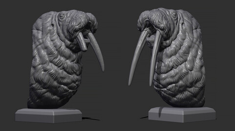 Walrus bust