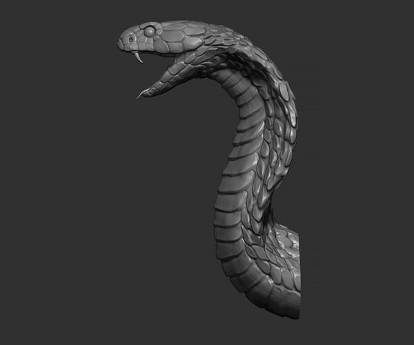 ArtStation - Snake Cobra | Resources