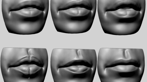 Lip Model with Different Types