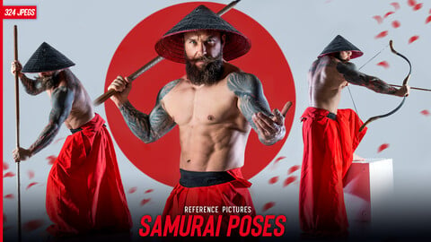 Samurai Poses Reference Pictures