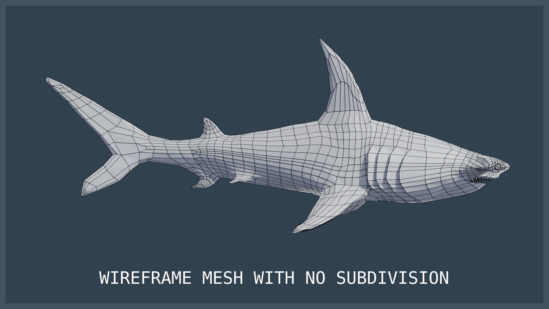 ArtStation Animated Hammerhead Shark Game Assets