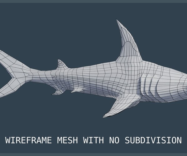 ArtStation Animated Hammerhead Shark Game Assets