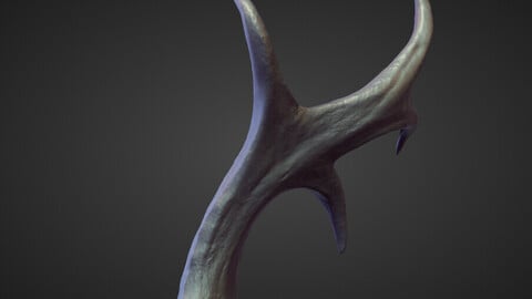 HORN36 high poly sculpt