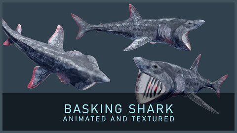 Animated Basking Shark