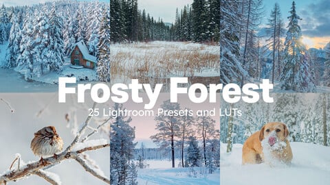 25 Frosty Forest Lightroom Presets and LUTs